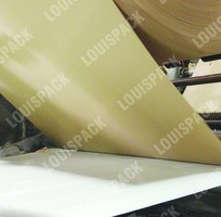 2 Manh giấy KP dạng cuộn khổ lớn