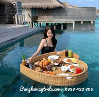 1 Khay nổi mây nhựa