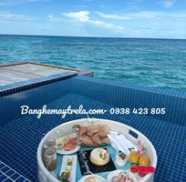 5 Khay nổi mây nhựa