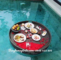 9 Khay nổi mây nhựa