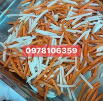 Máy thái củ quả đa chức năng, máy thái sợi khoai môn/đu đủ, máy thái sợi cà rốt củ cải
