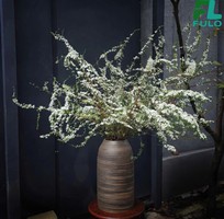 1 Nơi Bán Bình Cắm Hoa Tuyết Mai Đẹp Tại TP.HCM   Gốm Sứ FULO