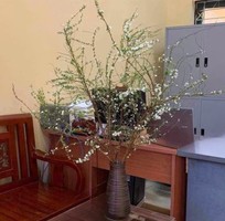 8 Nơi Bán Bình Cắm Hoa Tuyết Mai Đẹp Tại TP.HCM   Gốm Sứ FULO