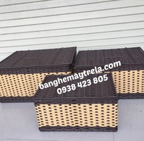 2 Rương nhựa giả mây đựng đồ