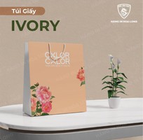4 In túi giấy cho thời trang đẳng cấp