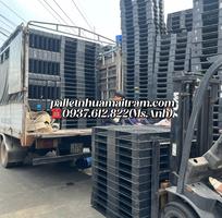 6  Pallet Nhựa Lâm Đồng Giá Cực Rẻ   Chất Lượng Cực Xịn, Mua Là Ưng Ngay  