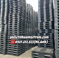 7  Pallet Nhựa Lâm Đồng Giá Cực Rẻ   Chất Lượng Cực Xịn, Mua Là Ưng Ngay  
