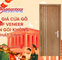 1 Báo Giá Cửa Gỗ MDF Veneer Trọn Gói Không Phát Sinh