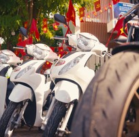Cho thuê xe máy vision đời mới 2025 Đà Nẵng