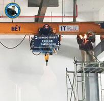1 Pa lăng Sungdo dầm đơn 1 tấn