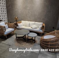 Bàn ghế sofa mây nhựa tổ yến