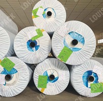 Manh PP dệt LOUISPACK chống thấm nước