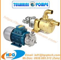 Máy bơm điện Tellarini  Nhà phân phối Bơm Tellarini