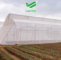 2 Lưới chắn côn trùng HDPE màu trắng