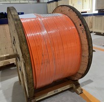 Ray điện an toàn cầu trục
