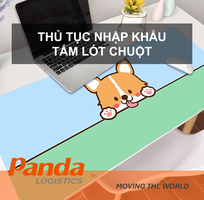 Thủ tục nhập khẩu tấm lót chuột