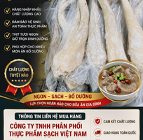Thịt Đuôi Trâu Ấn Độ   Mềm Ngọt, Gân Giòn, Thích Hợp Hầm Và Nấu Lẩu
