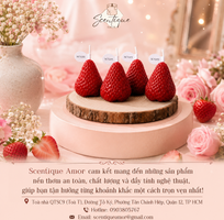 Nến Thơm Tạo Hình Trái Cây