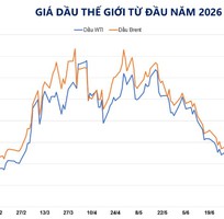 Dầu thô  lấy lại  những gì đã mất