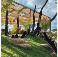 Vải bố trang trí và decor