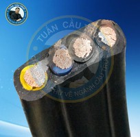1 Cáp điện dẹt 4Cx16mm2