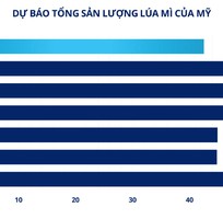 Lúa mì chịu sức ép từ nguồn cung Biển Đen