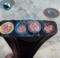 Cáp điện dẹt 4Cx25mm2
