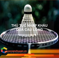 Thủ Tục Nhập Khẩu Quả Cầu Lông
