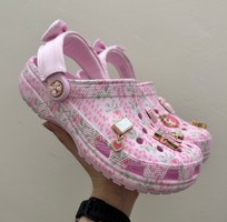Pb428- Sục Hoa hồng Fancy