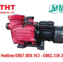 Tiêu Chuẩn Máy Bơm Hồ Bơi Khách Sạn: Lựa Chọn Tối Ưu
