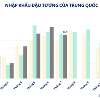 Nhập khẩu đậu tương của Trung Quốc