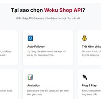 Những ai có thể sử dụng API AI  Có nên chọn key API giá rẻ