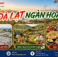 Tour Đà Lạt 2 Ngày 2 Đêm