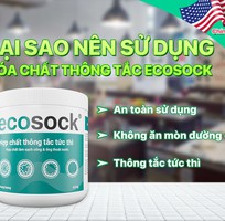 1 ECOSOCK - Giải Pháp Thông Tắc Tức Thì