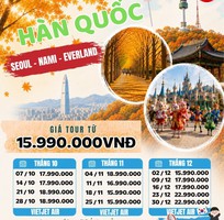 Mùa thu Hàn Quốc - Seoul - Nami