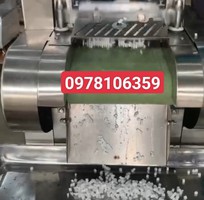 Máy thái cùi dừa hạt lựu, máy thái cơm dừa làm topping chè, máy thái trái cây hạt lựu