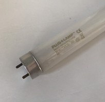 1 Bóng đèn thu hút côn trùng 15W Pluslamp