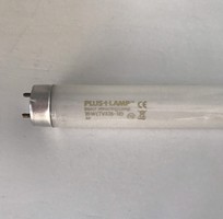 2 Bóng đèn thu hút côn trùng 15W Pluslamp
