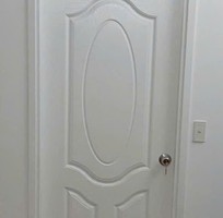 Cửa gỗ HDF Saigondoor