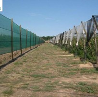 3 Lưới chắn gió HDPE, lưới che chắn HDPE