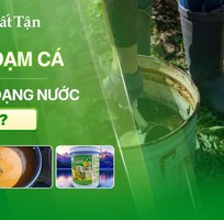 Phân đạm cá dạng nước là gì