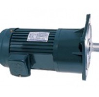 Motor giảm tốc Dolin