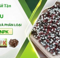 Tìm hiểu phân NPK là gì