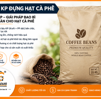 Bao KP đựng nông sản