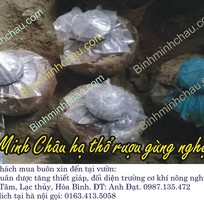 2 Tìm nhà phân phối MUỐI THẢO DƯỢC của đông dược Minh Châu