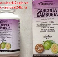 Thuốc giảm cân DietWorks  Garcinia Cambogia 500 mg., 210 Viên