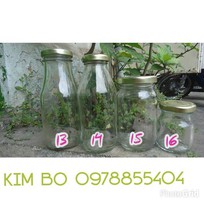 3 Chai lọ thủy tinh giá rẻ nhất thị trường    Kimbo shop