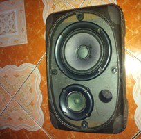 1 Loa dk karaoke dds 700