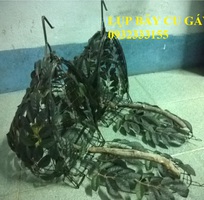 3 Bán lụp cu gáy