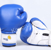 2 Gang tập boxing, người nộm,đích đá, bao đấm ... nơi chuyên cung cấp dụng cụ võ thuật